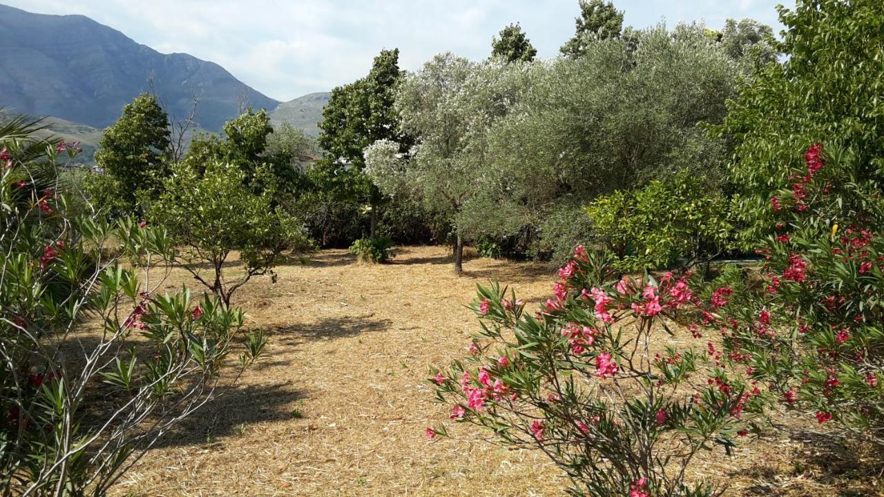 La Marina Gardens Beach Scauri  Bagian luar foto