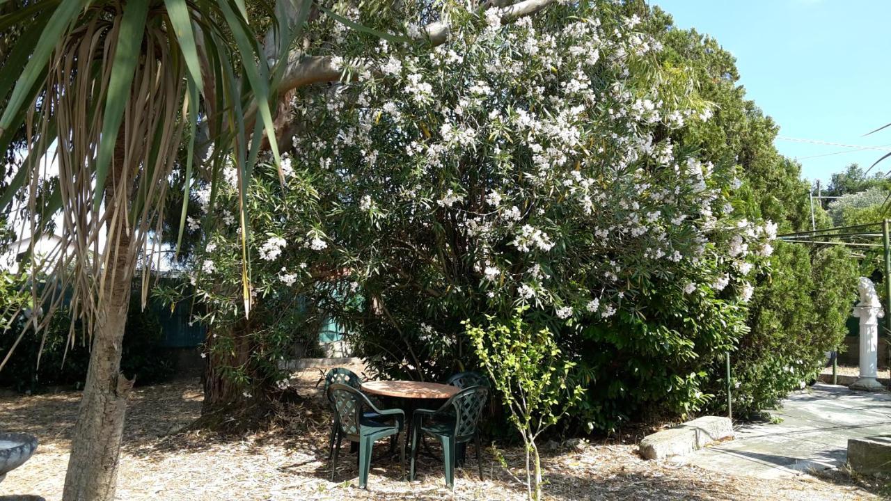 La Marina Gardens Beach Scauri  Bagian luar foto